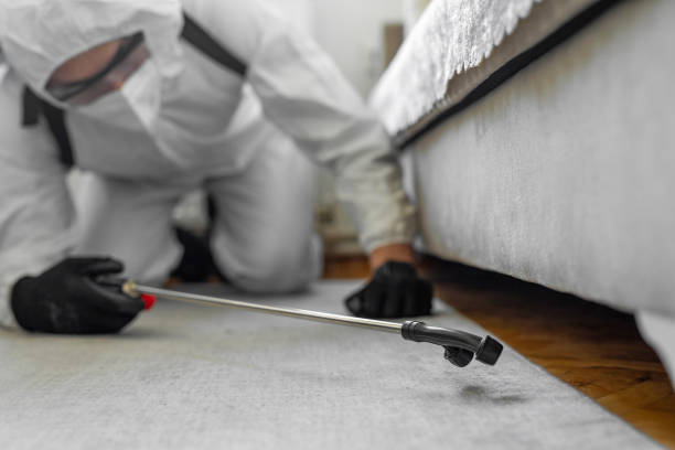 Professional Bed Bug Control technician working in South Wilton, CT