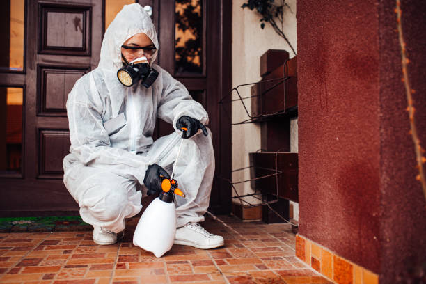 Reliable Bed Bug Control contractor in South Wilton, CT by Nex Pest Control