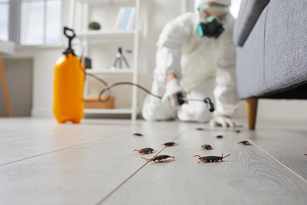 Trusted Emergency Pest Control service in South Wilton, CT - Nex Pest Control